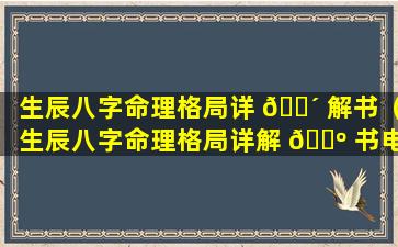 生辰八字命理格局详 🌴 解书（生辰八字命理格局详解 🐺 书电子版）